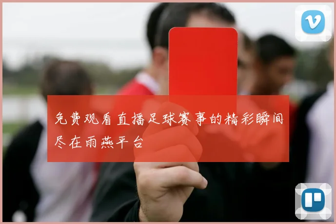 免费观看直播足球赛事的精彩瞬间尽在雨燕平台