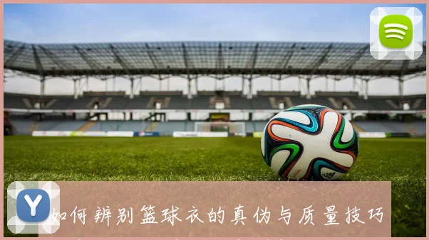 如何辨别篮球衣的真伪与质量技巧分享让你买得放心穿得舒心