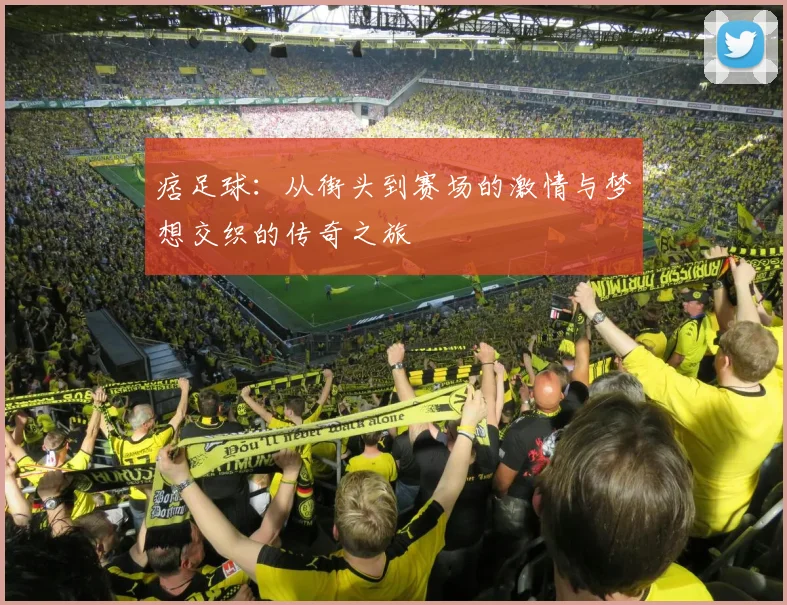 痞足球：从街头到赛场的激情与梦想交织的传奇之旅